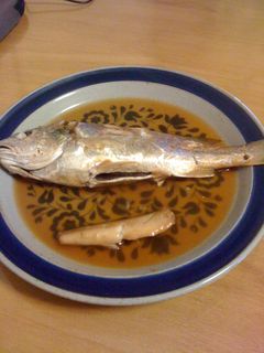 IMG_1183.jpg